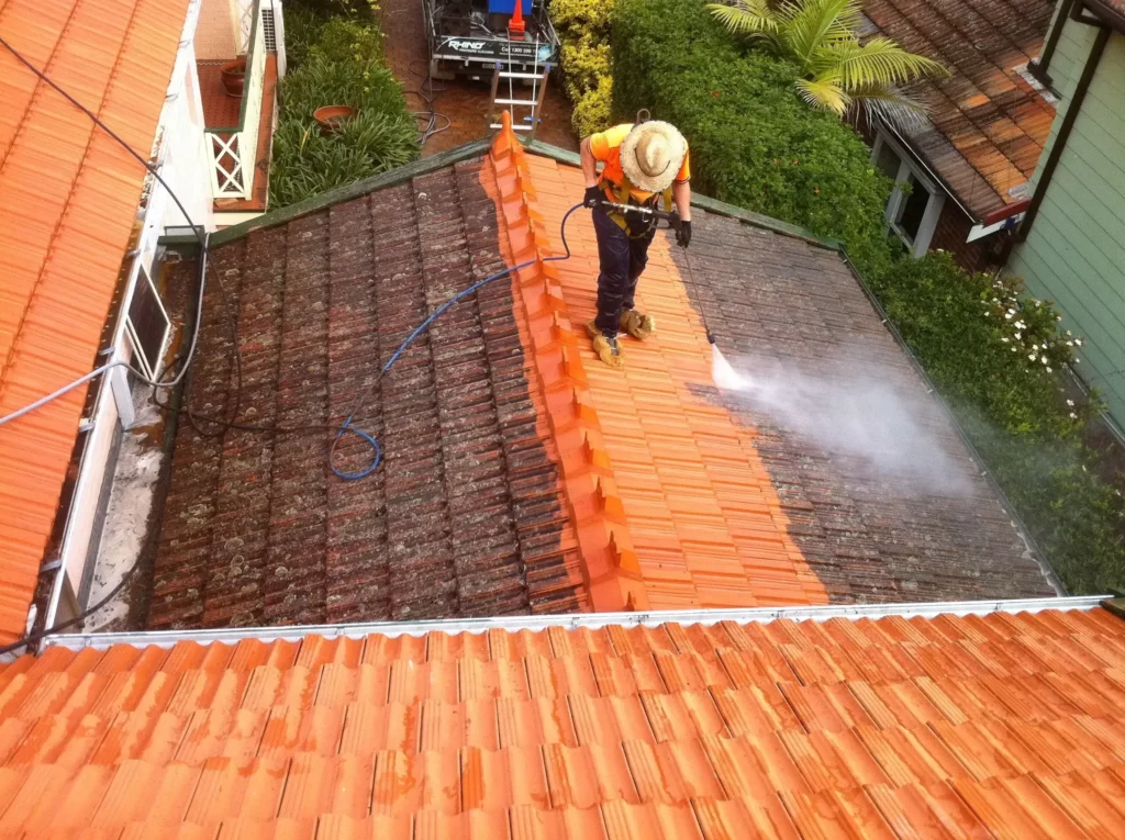 Roof Cleaning