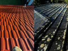 Roof Pressure Cleaning