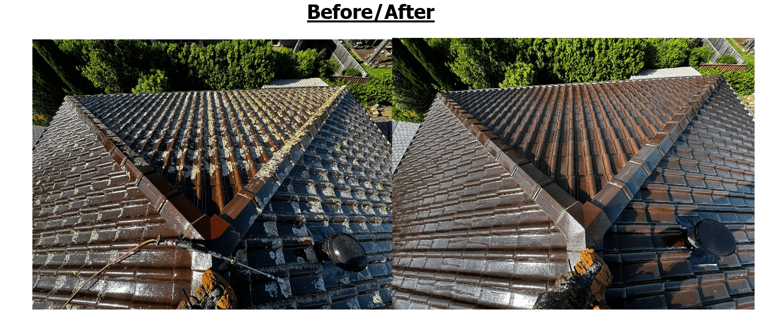 Roof Cleaning