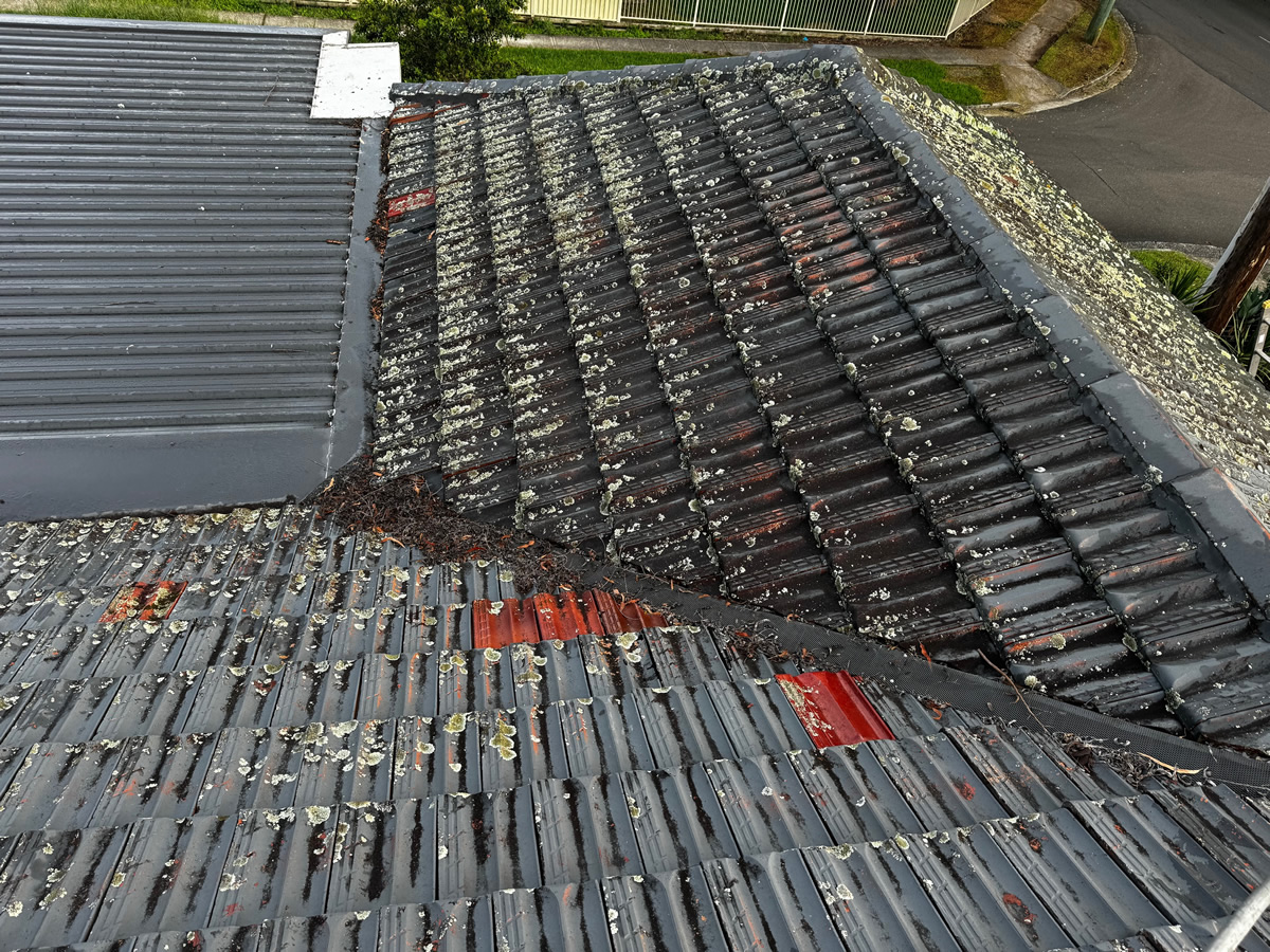 alt-Roof Painting Sydney